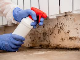 Reliable Massillon, OH Mold Removal Solutions